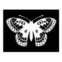 Black and White Fritillary Butterfly Print Postcard