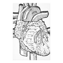 Black and white heart drawing stationery paper