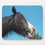 Black and White Horse / Pony - Horse Photography Mousepads