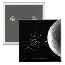 Black and white illustration of fertilization buttons