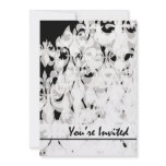 Black and White invitations