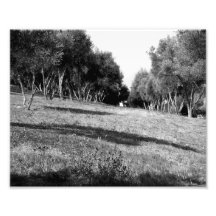 Black And White Landscape 1 Photo