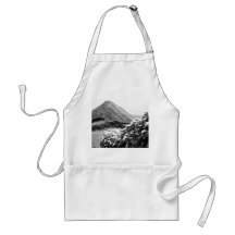 Black and white landscape with hydrangeas aprons