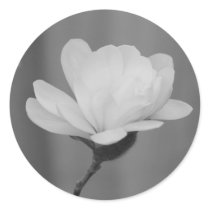 Black and White Magnolia Centennial Bloom Sticker