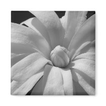 Black and White Magnolia Centennial Refrigerator Magnets