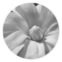 Black and White Magnolia Centennial Round Sticker