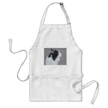 Black and White Maine Coon cat. Apron