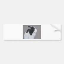 Black and White Maine Coon cat. Bumper Stickers