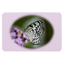 Black and White Nymph Butterfly Rectangle Magnet
