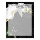 Black and White Orchid Swirl Letterhead