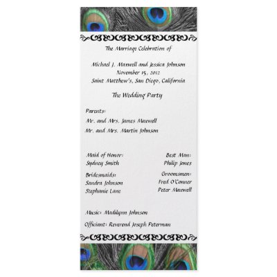 Black and White Peacock Feather Wedding Program Custom Rack Card by ChristyWyoming
