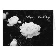 Black and White Peony Cards