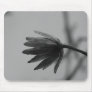 Black and White Poplar Bloom Mouse Pads