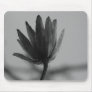 Black and White Poplar Bloom Mouse Pads
