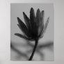 Black and White Poplar Bloom Print