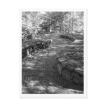 Black and White Postcard