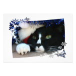 Black and White resigned cat santa hat blue tinsel Personalized Invite