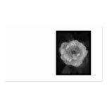 Black and White Rose. Business Card