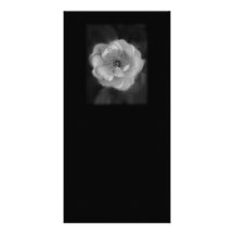 Black and White Rose. Custom Photo Card