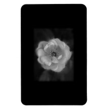 Black and White Rose. Flexible Magnet