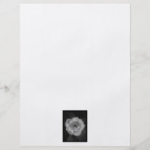 Black and White Rose. Flyer Design