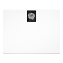 Black and White Rose. Letterhead