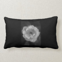 Black and White Rose. Pillows