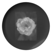 Black and White Rose. Party Plates
