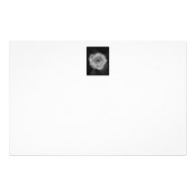 Black and White Rose. Stationery Design