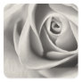 Black and White Rose, stationery, template Sticker