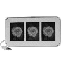 Black and White Rose. Travelling Speaker