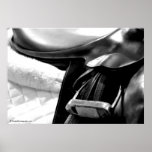 Black and White Saddle Print