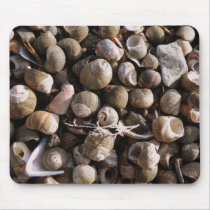 Black and White sea shells Mousepads