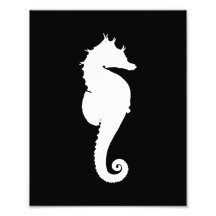 Black and White Seahorse Art Photo