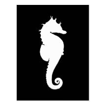Black and White Seahorse Post Card