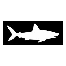 Black and White Shark posters