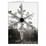 Black and White Snowflake Christmas Card