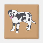 Black and White Spotted Dog Magnets
