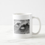 Black and White Starfish mugs