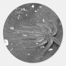Black and White Starfish Escape Stickers