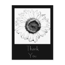 Black and White Sunflower Thank You Postcard