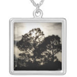 Black and white surreal photograph of pine trees