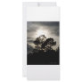 Black and white surreal photograph of pine trees