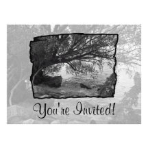 Black and White Tree Silhouette Invitation