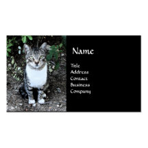 BLACK AND WHITE TURKISH CAT RONIN BUSINESS CARD