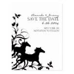 Black and White Wild Horses Save the Date Post Card