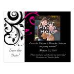 Black and White with Magenta Swirl Accent Post Card