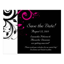 Black and White with Magenta Swirl Accent Post Card