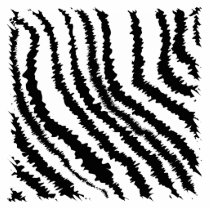 Black and White Zebra Print Pattern. Photo Cutouts