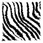 Black and White Zebra Print Pattern. Acrylic Cut Outs